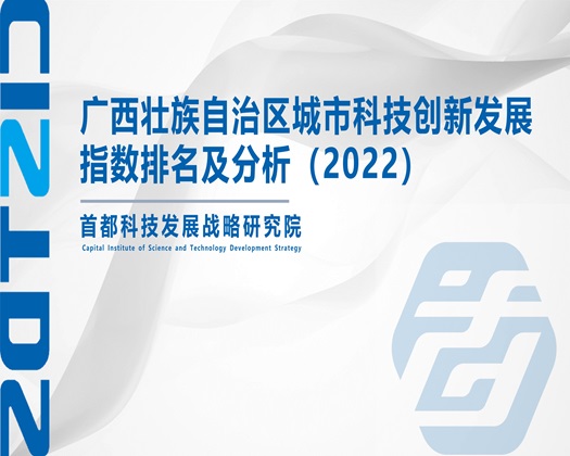 女生被男生大鸡吧操逼视频【成果发布】广西壮族自治区城市科技创新发展指数排名及分析（2022）